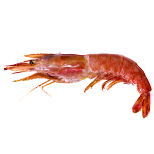 Our Products Real Food Est